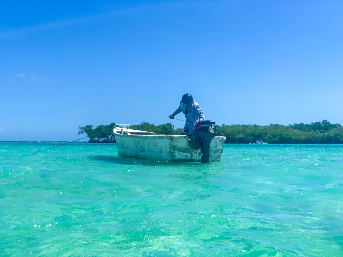 Calypso Beach Hotel By The Urbn House Santo Domingo Airport ボカ・チカ エクステリア 写真