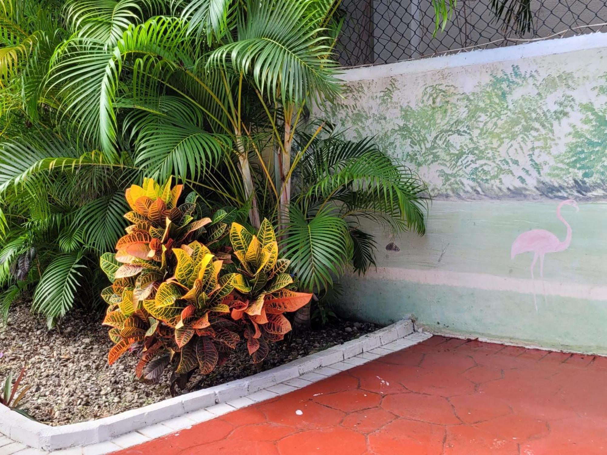 Calypso Beach Hotel By The Urbn House Santo Domingo Airport ボカ・チカ エクステリア 写真